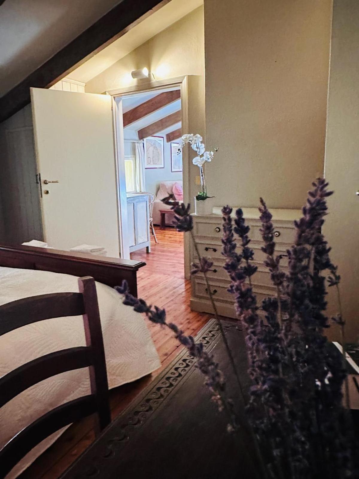 Garden Loft By Veneto Villa Villa Osti المظهر الخارجي الصورة